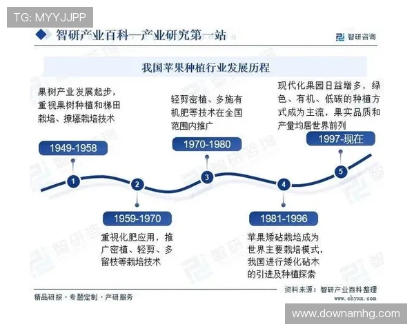 环球ug视讯未来发展趋势预测，探索行业创新与持续成长的可能性